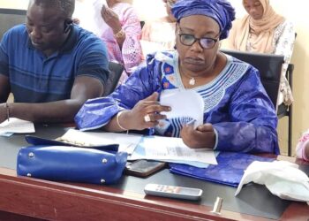 Diamniadio : Priorité aux infrastructures et à l’action sociale dans le budget 2025